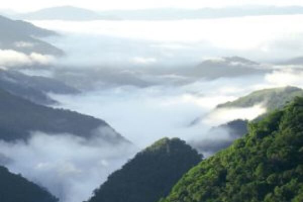 Continuum da Mata Atlântica